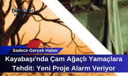 Kayabaşı'nda Çam Ağaçlı Yamaçlara Tehdit: Yeni Proje Alarm Veriyor