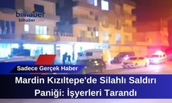 Mardin Kızıltepe'de Silahlı Saldırı Paniği: İşyerleri Tarandı