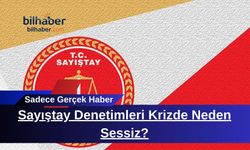 Sayıştay Denetimleri Krizde Neden Sessiz?