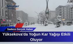 Yüksekova'da Yoğun Kar Yağışı Etkili Oluyor