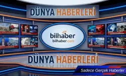 Demokrasi Düşüşü ve İnsan Hakları Sorunları Raporu