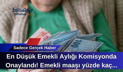 En Düşük Emekli Aylığı Komisyonda Onaylandı! Emekli maaşı yüzde kaç zamlandı?