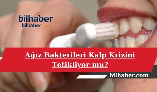 Ağız Bakterileri Kalp Krizini Tetikliyor mu?