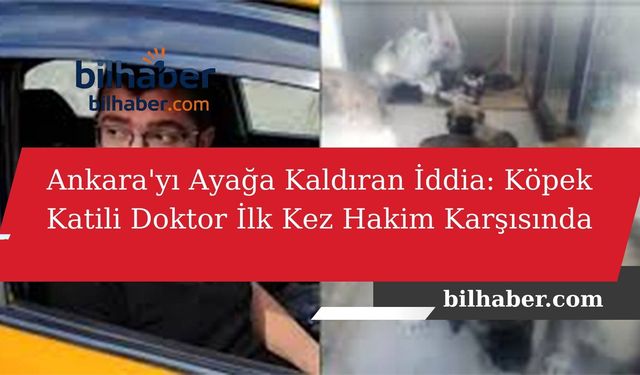 Ankara'yı Ayağa Kaldıran İddia: Köpek Katili Doktor İlk Kez Hakim Karşısında