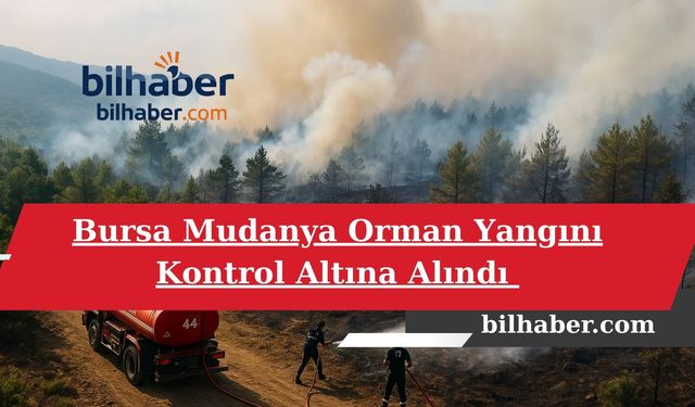 Bursa Mudanya Orman Yangını Kontrol Altına Alındı Ekiplerin Havadan ve Karadan Mücadelesi ile Felaket Önlendi