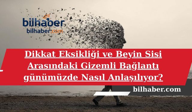 Dikkat Eksikliği ve Beyin Sisi Arasındaki Gizemli Bağlantı günümüzde Nasıl Anlaşılıyor?