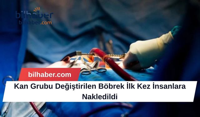 Kan Grubu Değiştirilen Böbrek İlk Kez İnsanlara Nakledildi