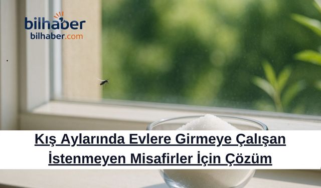Kış Aylarında Evlere Girmeye Çalışan İstenmeyen Misafirler İçin Çözüm