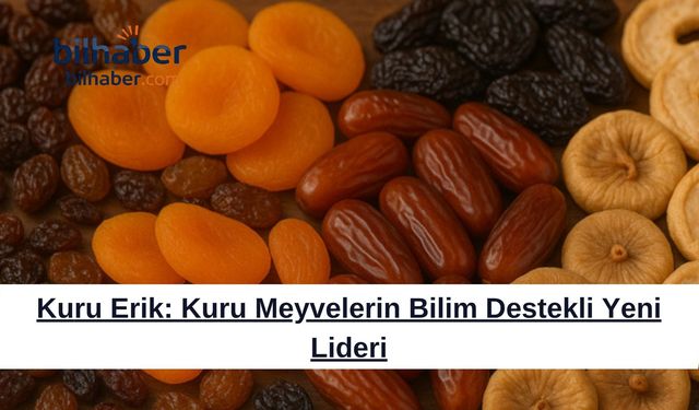 Kuru Erik: Kuru Meyvelerin Bilim Destekli Yeni Lideri