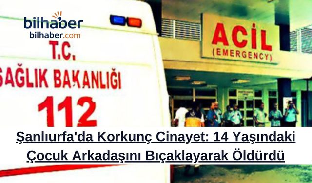 Şanlıurfa'da Korkunç Cinayet: 14 Yaşındaki Çocuk Arkadaşını Bıçaklayarak Öldürdü