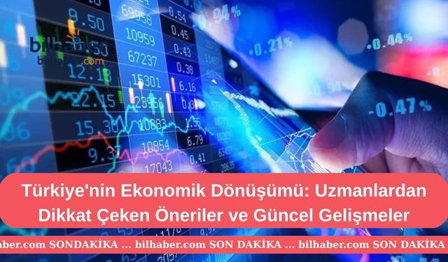 Türkiye'nin Ekonomik Dönüşümü: Uzmanlardan Dikkat Çeken Öneriler ve Güncel Gelişmeler