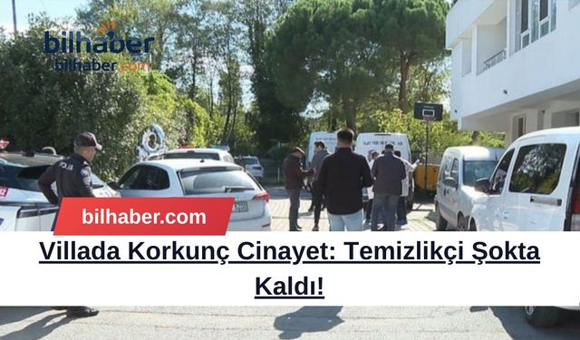 Villada Korkunç Cinayet: Temizlikçi Şokta Kaldı!