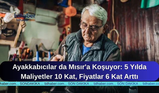 Ayakkabıcılar da Mısır'a Koşuyor: 5 Yılda Maliyetler 10 Kat, Fiyatlar 6 Kat Arttı