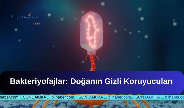Bakteriyofajlar: Doğanın Gizli Koruyucuları