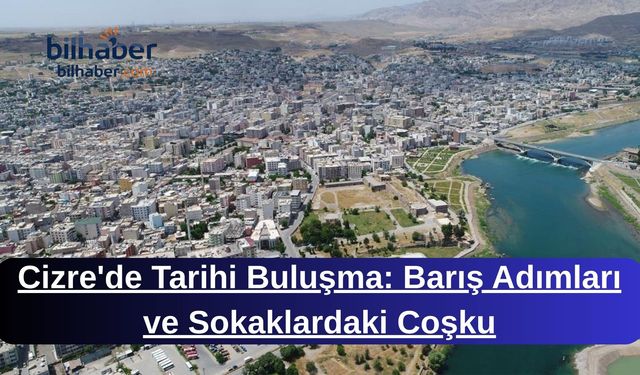 Cizre'de Tarihi Buluşma: Barış Adımları ve Sokaklardaki Coşku