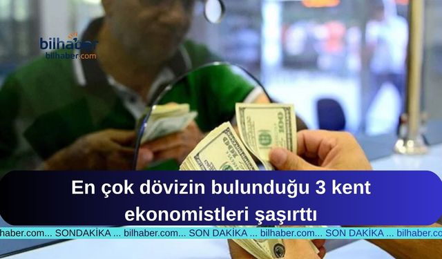 En çok dövizin bulunduğu 3 kent ekonomistleri şaşırttı