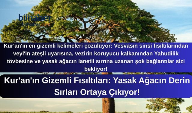 Kur'an'ın Gizemli Fısıltıları: Yasak Ağacın Derin Sırları Ortaya Çıkıyor!