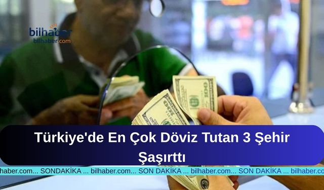 Türkiye'de En Çok Döviz Tutan 3 Şehir Şaşırttı