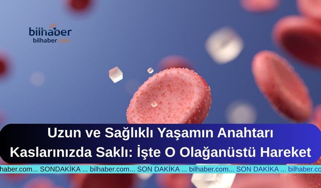 Uzun ve Sağlıklı Yaşamın Anahtarı Kaslarınızda Saklı: İşte O Olağanüstü Hareket