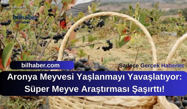 Aronya Meyvesi Yaşlanmayı Yavaşlatıyor: Süper Meyve Araştırması Şaşırttı!