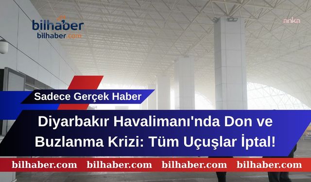 Diyarbakır Havalimanı'nda Don ve Buzlanma Krizi: Tüm Uçuşlar İptal!