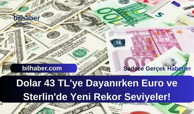 Dolar 43 TL'ye Dayanırken Euro ve Sterlin'de Yeni Rekor Seviyeler!