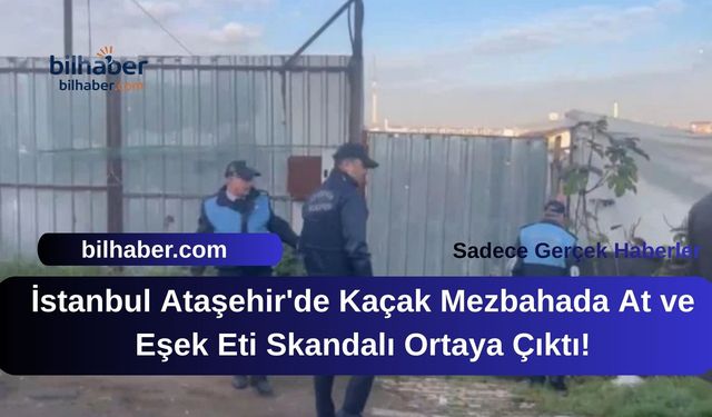 İstanbul Ataşehir'de Kaçak Mezbahada At ve Eşek Eti Skandalı Ortaya Çıktı!