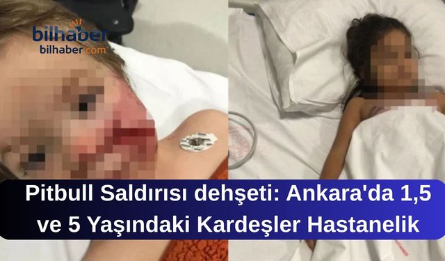 Pitbull Saldırısı dehşeti: Ankara'da 1,5 ve 5 Yaşındaki Kardeşler Hastanelik