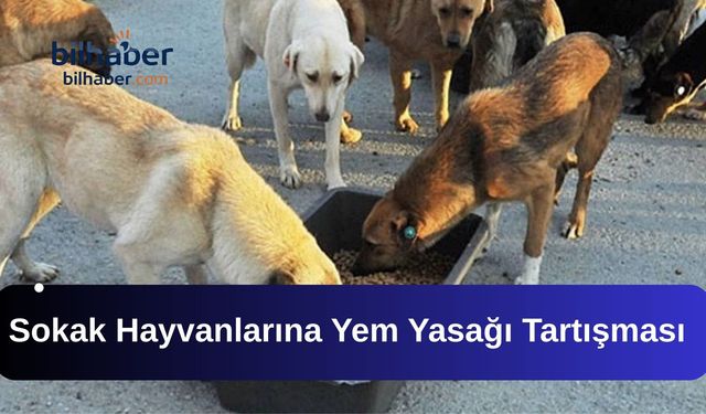 Sokak Hayvanlarına Yem Yasağı Tartışması