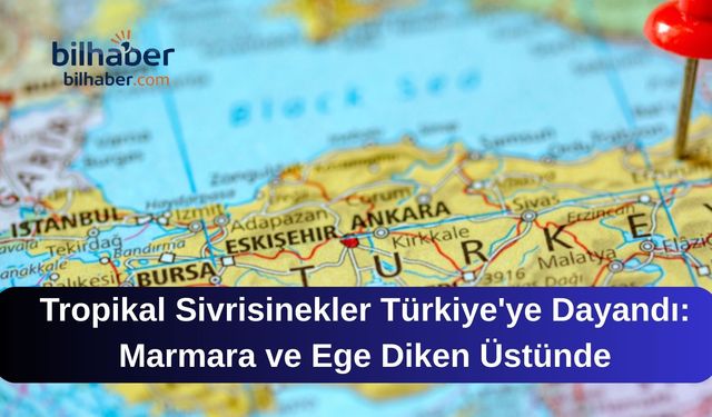 Tropikal Sivrisinekler Türkiye'ye Dayandı: Marmara ve Ege Diken Üstünde