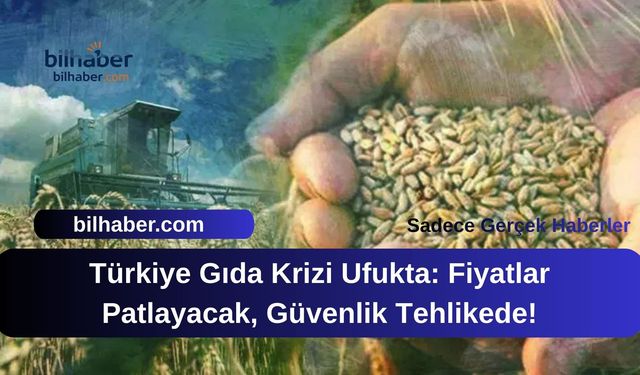 Türkiye Gıda Krizi Ufukta: Fiyatlar Patlayacak, Güvenlik Tehlikede!