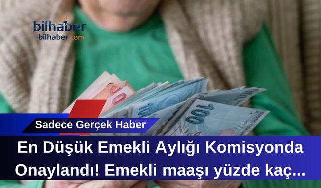 En Düşük Emekli Aylığı Komisyonda Onaylandı! Emekli maaşı yüzde kaç zamlandı?