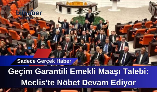 Geçim Garantili Emekli Maaşı Talebi: Meclis'te Nöbet Devam Ediyor