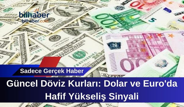 Güncel Döviz Kurları: Dolar ve Euro'da Hafif Yükseliş Sinyali
