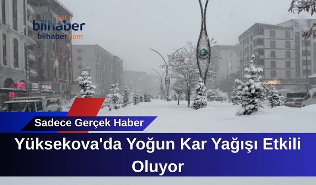 Yüksekova'da Yoğun Kar Yağışı Etkili Oluyor