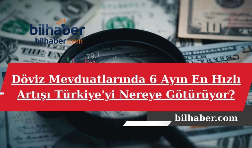 Döviz Mevduatlarında 6 Ayın En Hızlı Artışı Türkiye'yi Nereye Götürüyor?