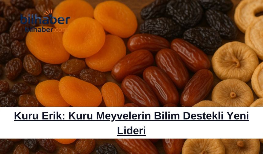 Kuru Erik: Kuru Meyvelerin Bilim Destekli Yeni Lideri