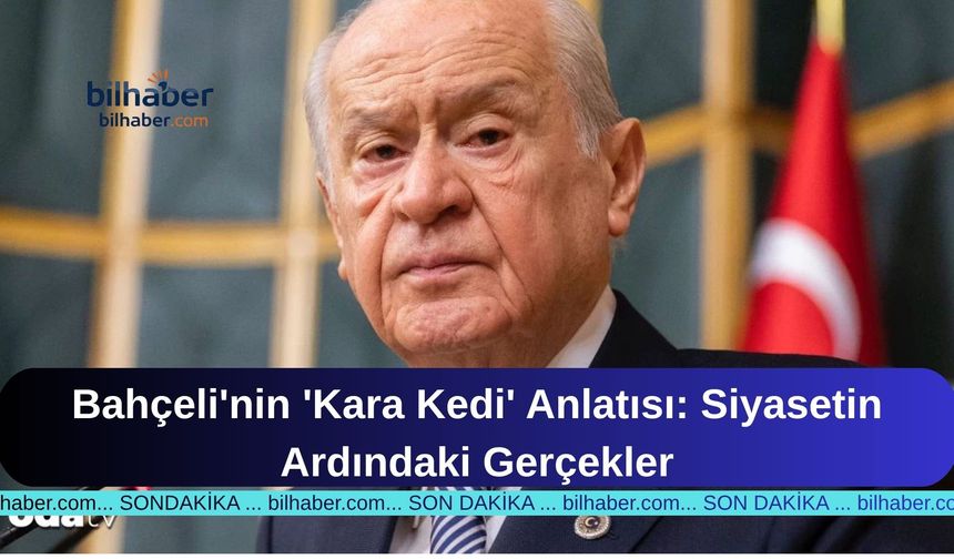 Bahçeli'nin 'Kara Kedi' Anlatısı: Siyasetin Ardındaki Gerçekler