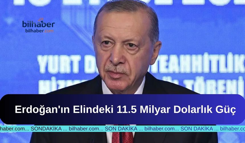 Erdoğan'ın Elindeki 11.5 Milyar Dolarlık Güç