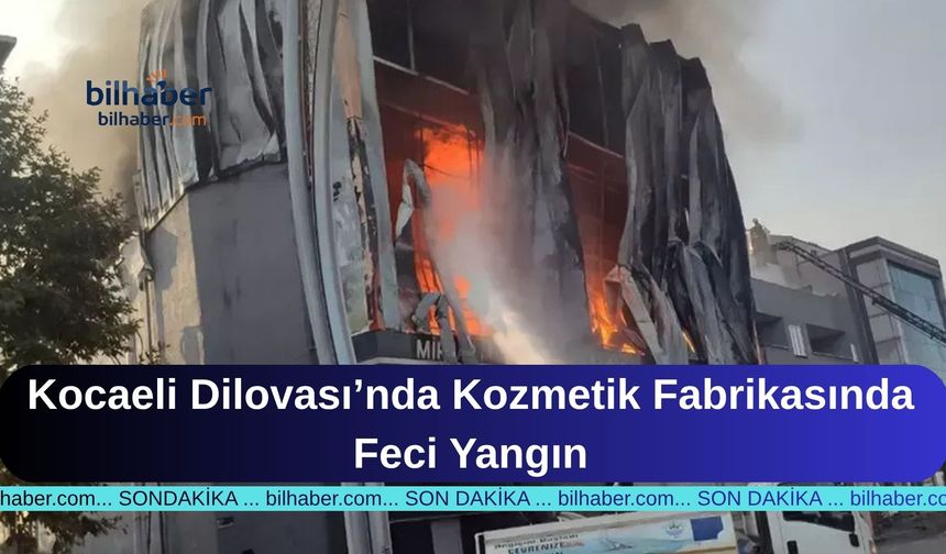 Kocaeli Dilovası’nda Kozmetik Fabrikasında Feci Yangın