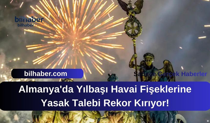 Almanya'da Yılbaşı Havai Fişeklerine Yasak Talebi Rekor Kırıyor!