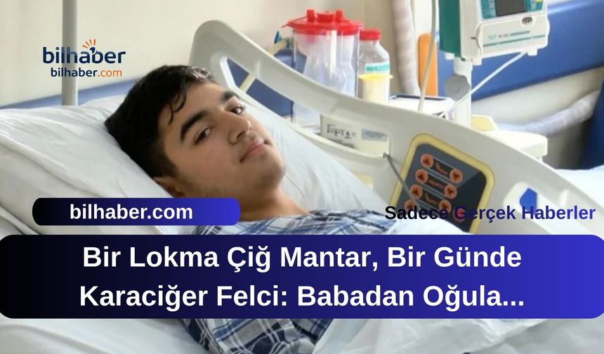 Bir Lokma Çiğ Mantar, Bir Günde Karaciğer Felci: Babadan Oğula Hayat Kurtaran Nakil Mucizesi!